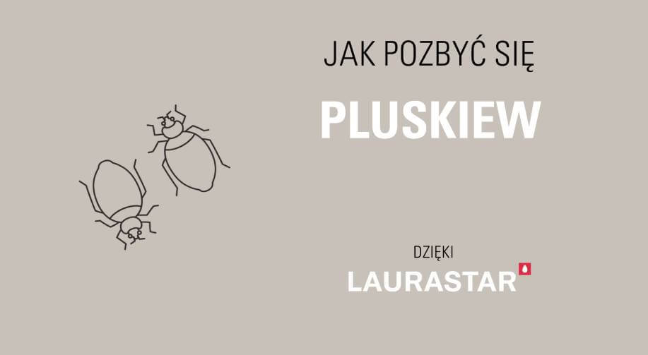 Jak pozbyć się pluskiew parownica na pluskwy