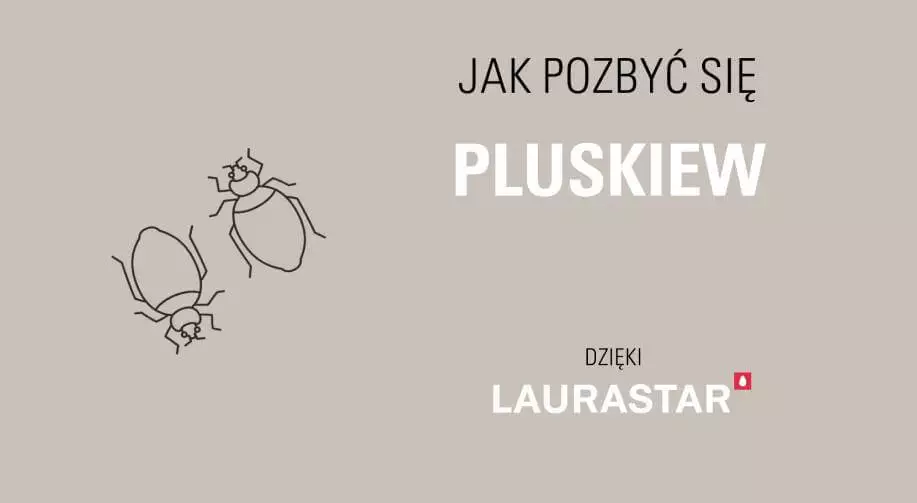 Jak pozbyć się pluskiew parownica na pluskwy